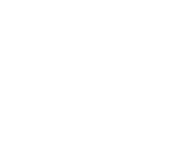 Volting logo